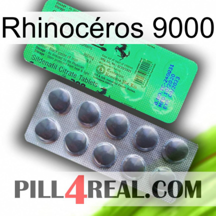 Rhinocéros 9000 new04